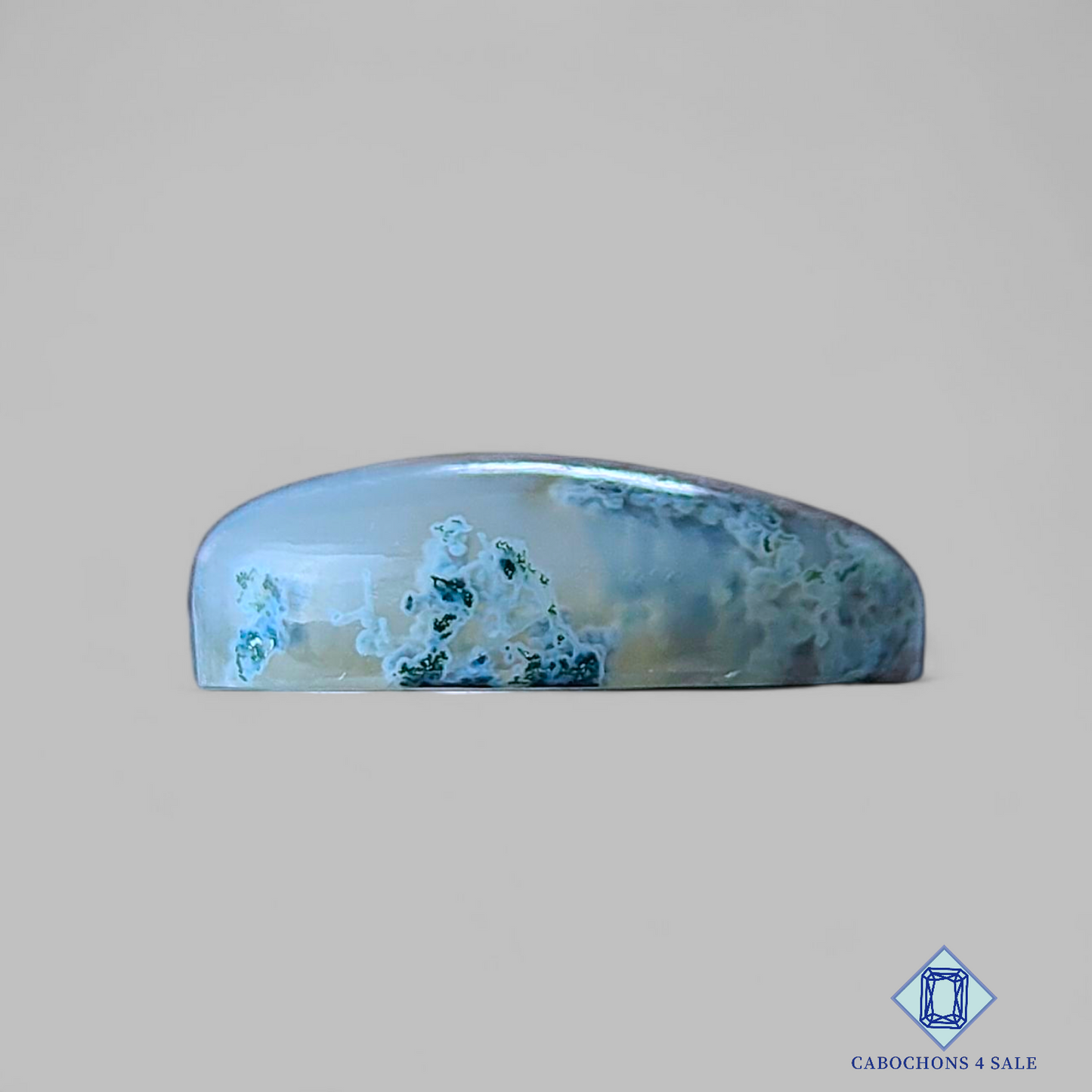 Horse Canyon Moss Agate