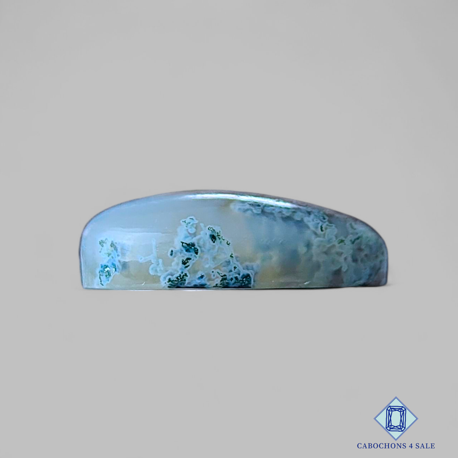 Horse Canyon Moss Agate