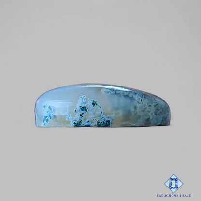 Horse Canyon Moss Agate