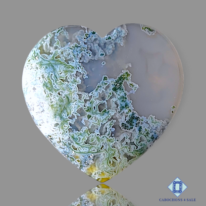 Horse Canyon Moss Agate