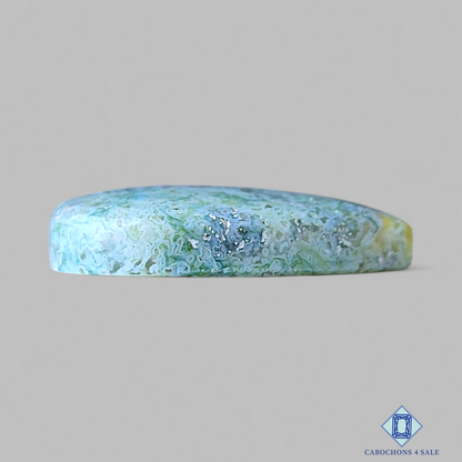 Horse Canyon Moss Agate