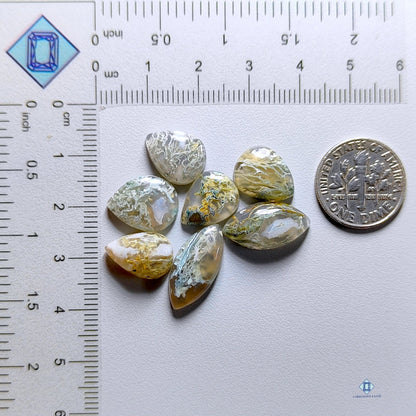 Horse Canyon Moss agate