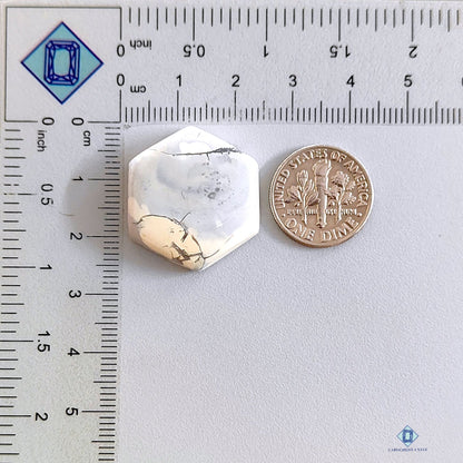 Howlite Hexagon Cabochons