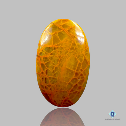 Indian Jasper