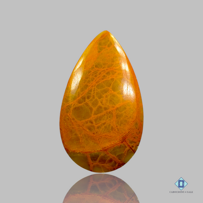 Indian Jasper