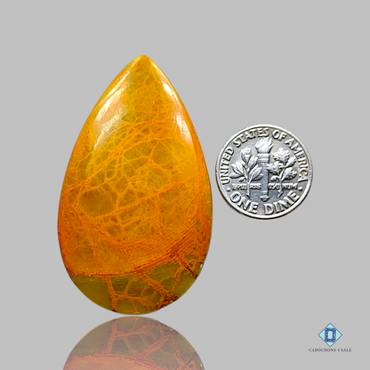 Indian Jasper