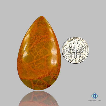 Indian Jasper