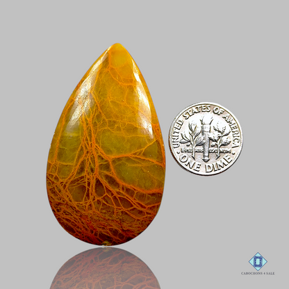 Indian Jasper