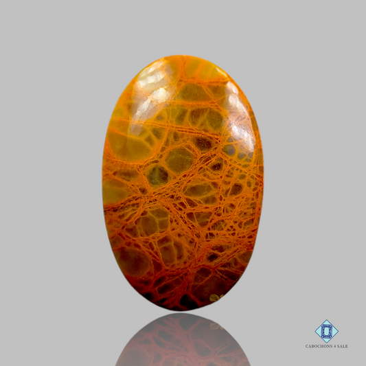 Indian Jasper