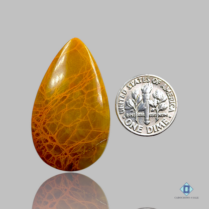 Indian Jasper