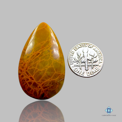 Indian Jasper