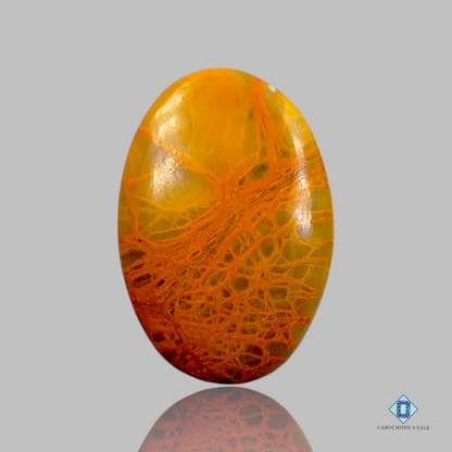 Indian Jasper