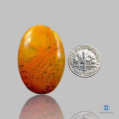 Indian Jasper