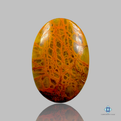 Indian Jasper