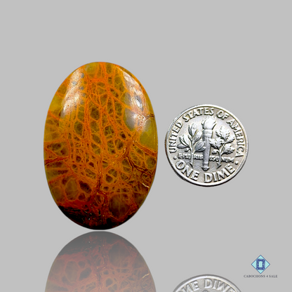 Indian Jasper