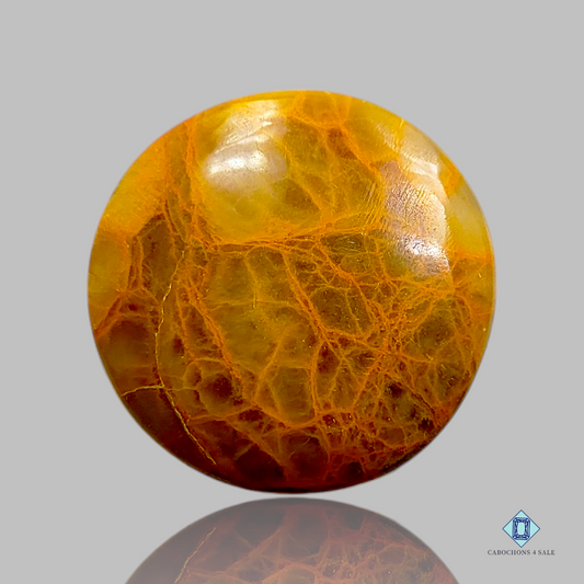 Indian Jasper