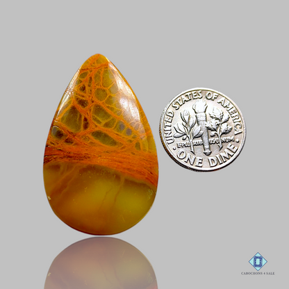 Indian Jasper