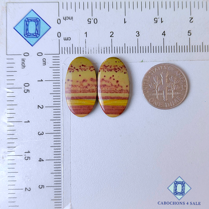 Imperial Jasper Oval Pairs 23*12*3mm