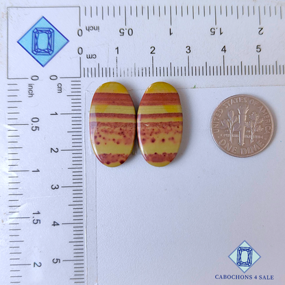 Pares ovalados de jaspe imperial de 23 x 12 x 4 mm
