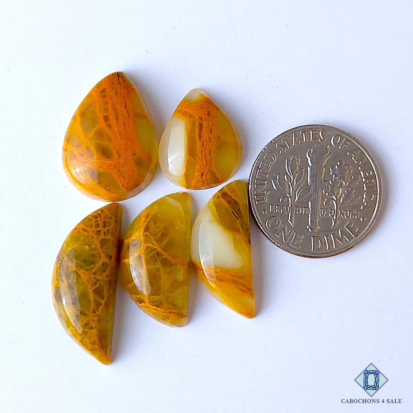 Indian Web Jasper