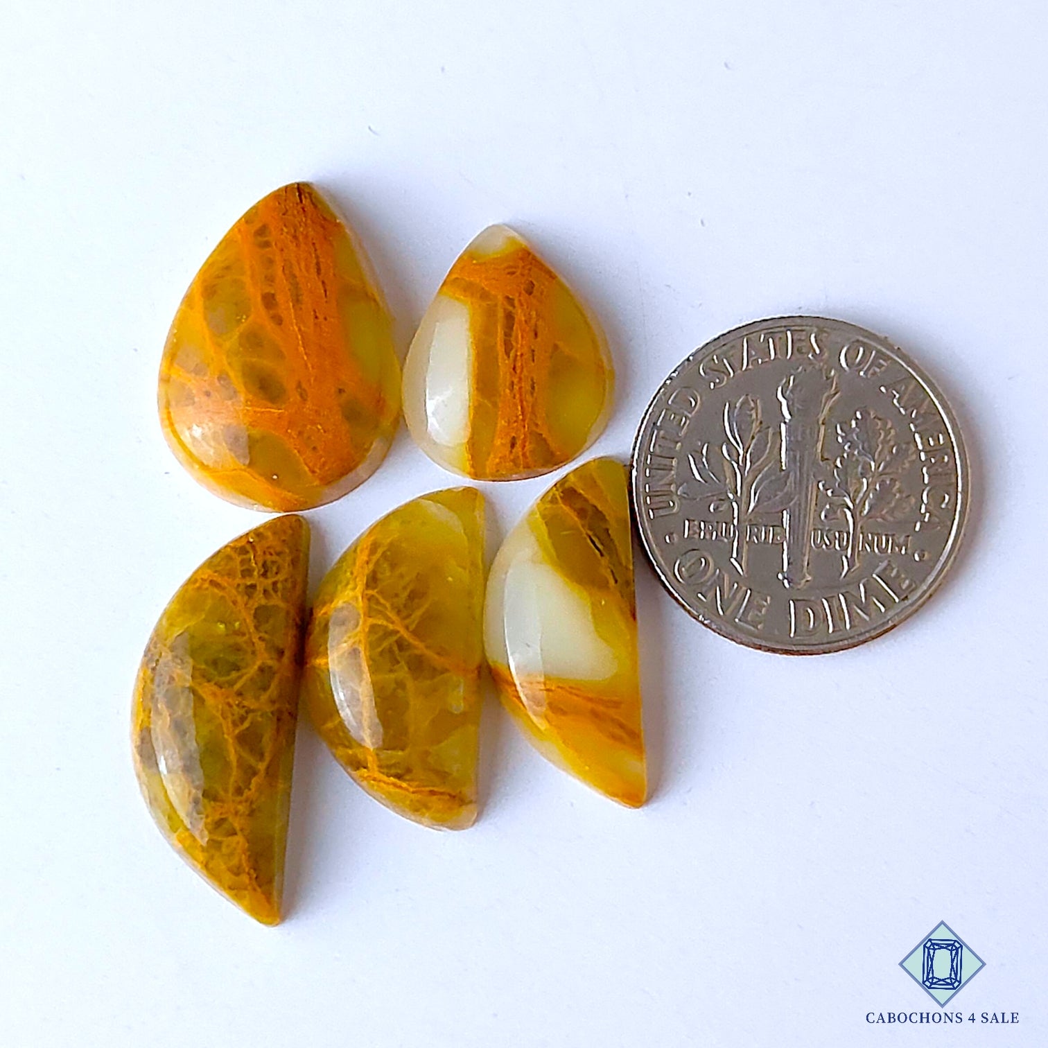Indian Web Jasper