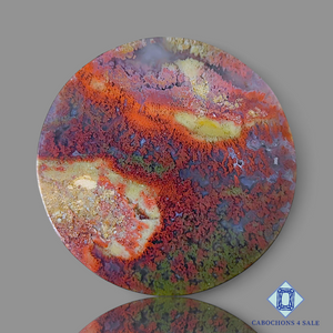 Indonesian Moss Agate Round Cabochons