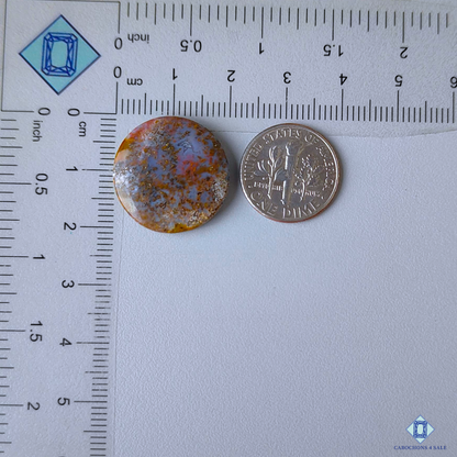 Indonesian Moss Agate