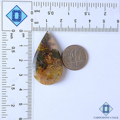 Indonesian Moss Agate