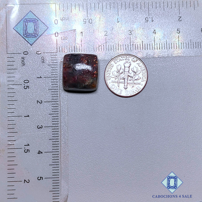 Iolite Sunstone