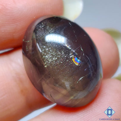 Iolite Sunstone