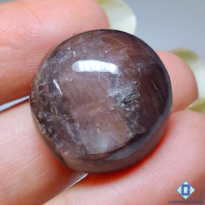 Iolite Sunstone