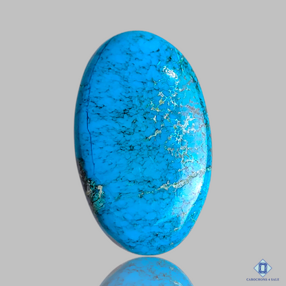Irani Turquoise