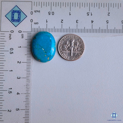 Irani Turquoise