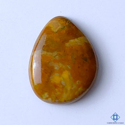 Jasper