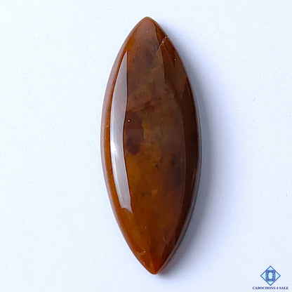 Jasper
