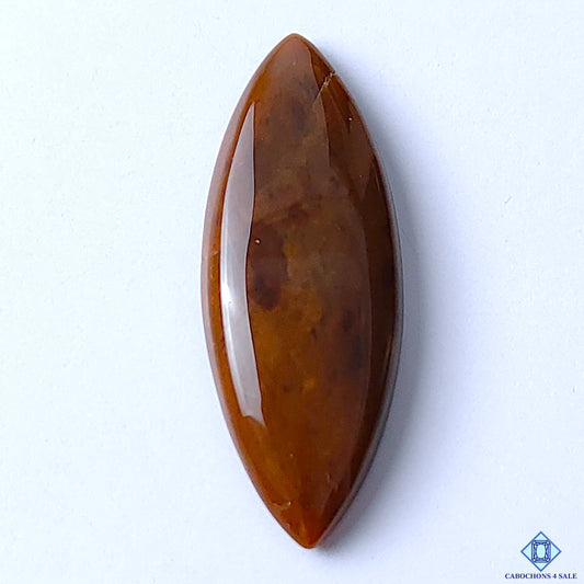 Jasper