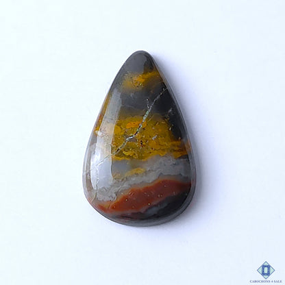 Jasper
