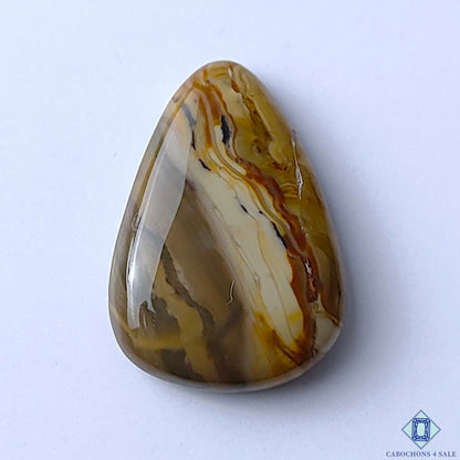 Jasper