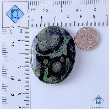 Kambaba Jasper