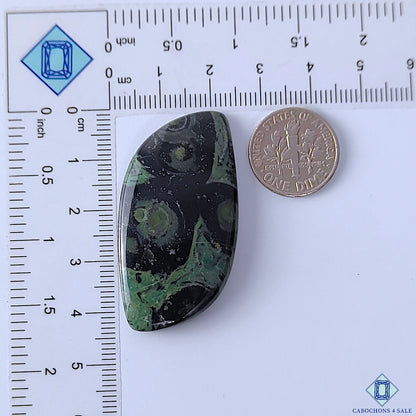 Kambaba Jasper
