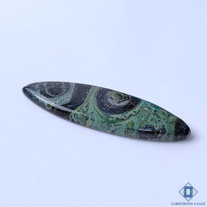 Kambaba Jasper