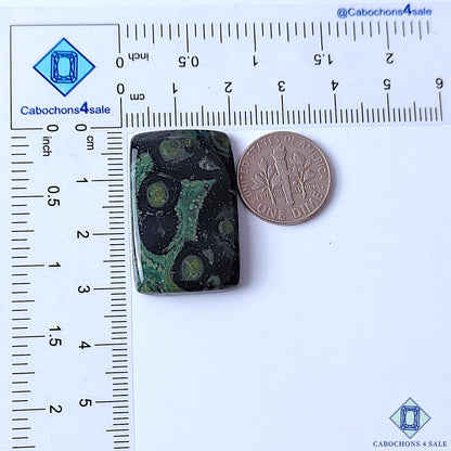 Kambaba Jasper