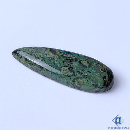 Kambaba Jasper