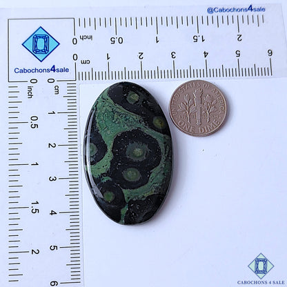 Kambaba Jasper