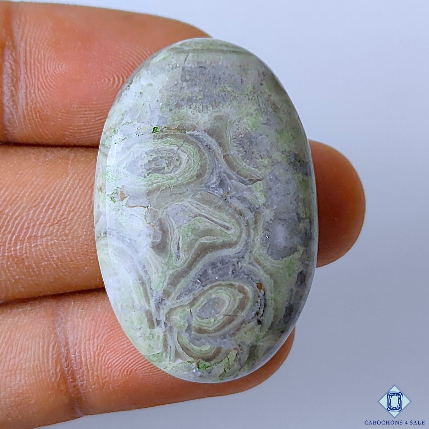 Kambaba Jasper
