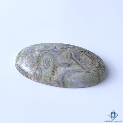 Kambaba Jasper