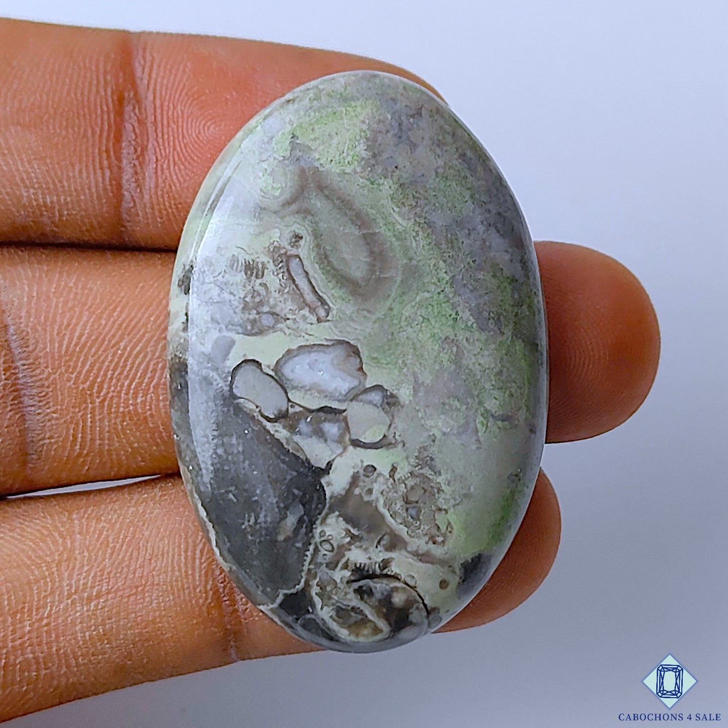Kambaba Jasper