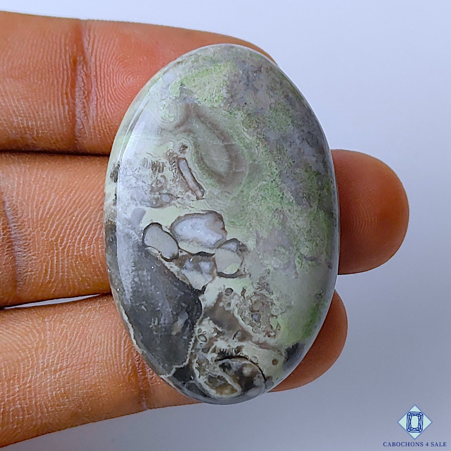 Kambaba Jasper