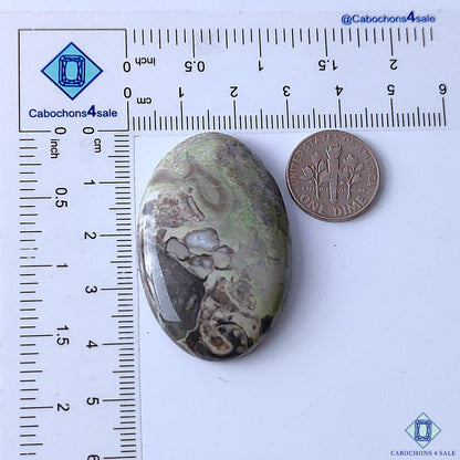 Kambaba Jasper