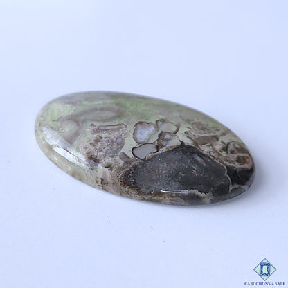 Kambaba Jasper